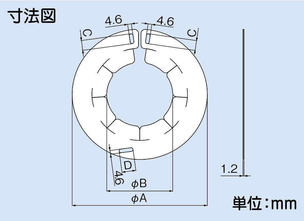 63_IRNS-P_fig.jpg